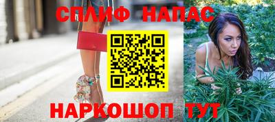 эйфоретик Владимир