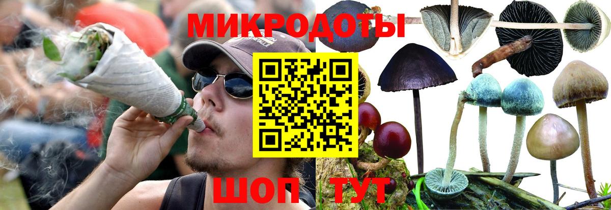 Галлюциногенные грибы прущие грибы  Вход с VPN  Павловский Посад 